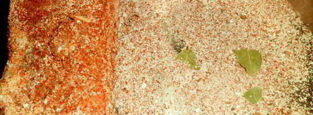 пряное сало. Шаг 6