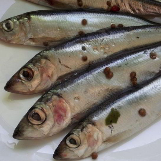 Рецепт салаки пряного посола