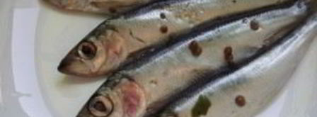 салака пряного посола. Шаг 5