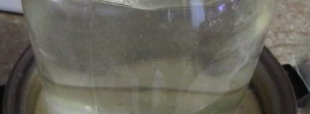 сало в рассоле. Шаг 7