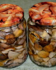 Соленые белые грибы