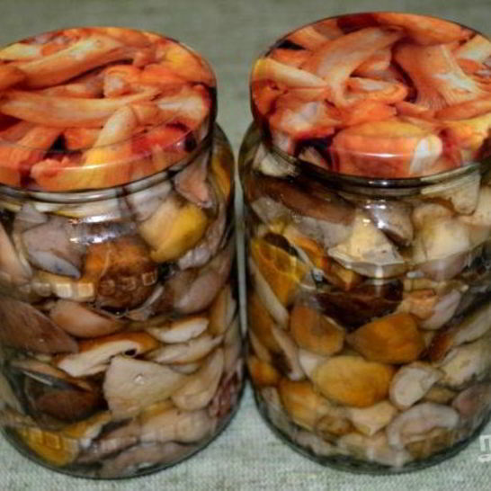 Рецепт соленых белых грибов