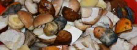 соленые белые грибы. Шаг 3