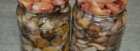 соленые белые грибы. Шаг 8