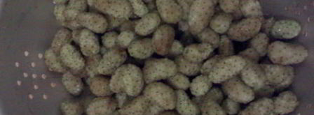 варенье из белой шелковицы. Шаг 3