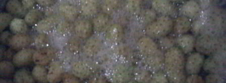 варенье из белой шелковицы. Шаг 6