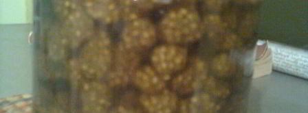 варенье из белой шелковицы. Шаг 7