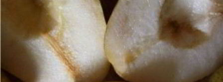 варенье из груш с гвоздикой. Шаг 3