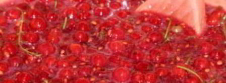 варенье из красной смородины на зиму. Шаг 4