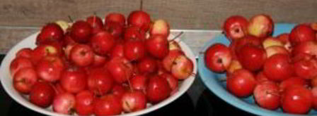 варенье из ранеток с хвостиками. Шаг 3