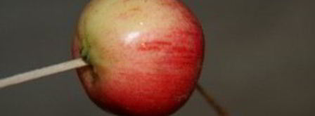 варенье из ранеток с хвостиками. Шаг 4