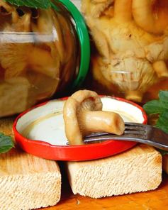 Волнушки соленые на зиму