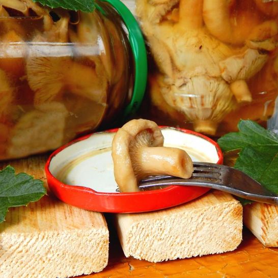 Рецепт волнушек соленых на зиму