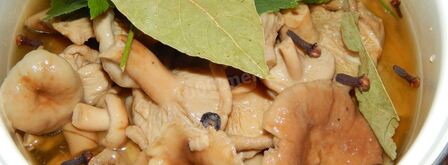 волнушки соленые на зиму. Шаг 6