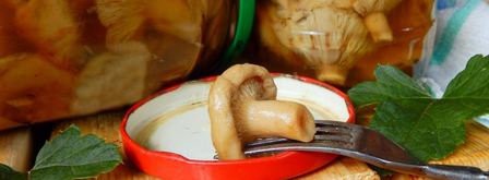 волнушки соленые на зиму. Шаг 9