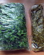 Заготовка щавеля на зиму