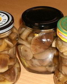 Закатка грибов на зиму