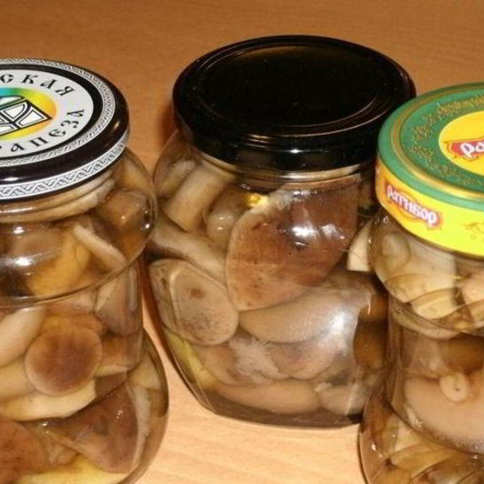 Рецепт закатки грибов на зиму