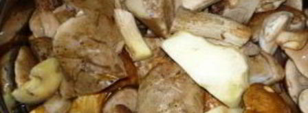 закатка грибов на зиму. Шаг 3