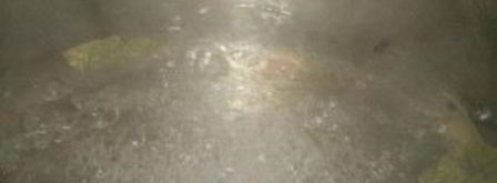 закатка грибов на зиму. Шаг 5