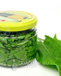 Засолка щавеля на зиму