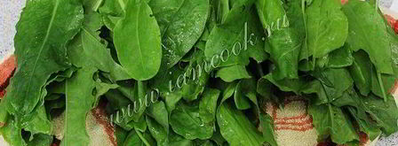 засолка щавеля на зиму. Шаг 4