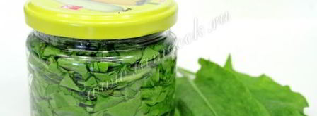 засолка щавеля на зиму. Шаг 9