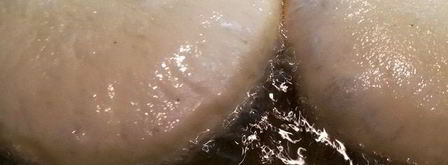 беляши с мясом классические. Шаг 20