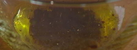 брускетта с чечевицей, фетой и цукини. Шаг 6