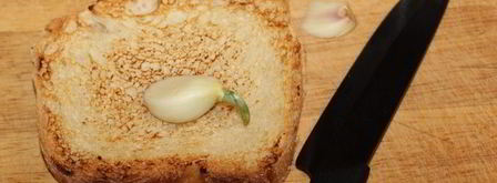 брускетта с крабом и авокадо. Шаг 3