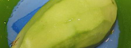 брускетта с крабом и авокадо. Шаг 6