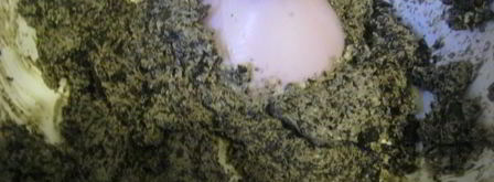 брускетта с кремом из маслин и помидорами. Шаг 5