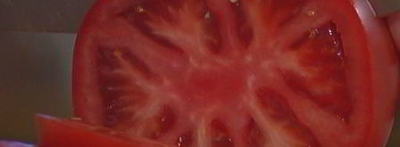 бургеры с котлетками из тунца и авокадо. Шаг 10