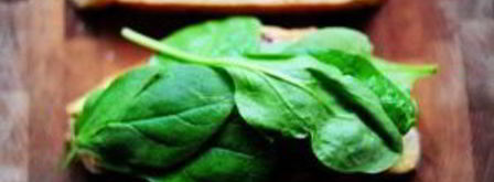 горячие бутерброды с курицей и абрикосовым соусом. Шаг 12