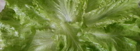 эстонский бутерброд. Шаг 6