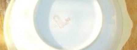 чебуреки с тыквой. Шаг 4