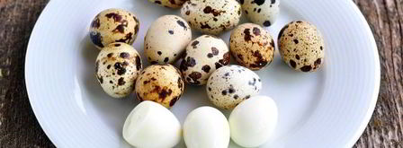 фаршированные перепелиные яйца. Шаг 5