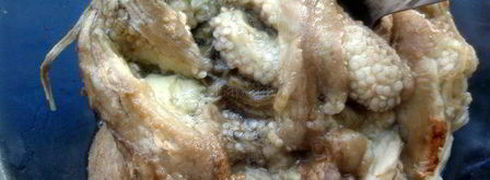 эссекская икра. Шаг 3