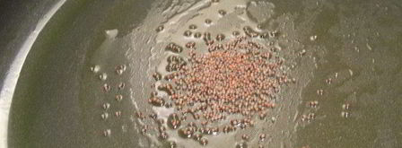 карри из баклажанов и картофеля. Шаг 5