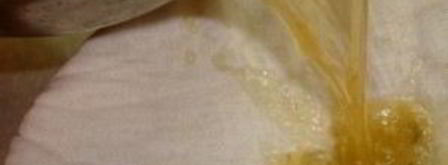 холодец балет. Шаг 5