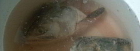 холодец из головы сома. Шаг 3