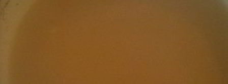 холодец из головы сома. Шаг 5