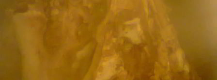 холодец из свинины. Шаг 3