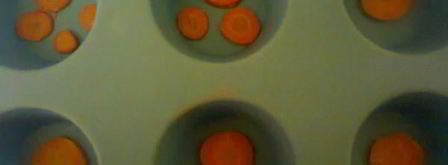 холодец из свинины. Шаг 11