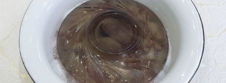 маринованный толстолобик. Шаг 8