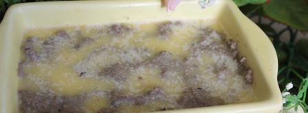 паштет из свиной печени с черносливом. Шаг 12