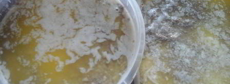 паштет из утиных потрошков. Шаг 8