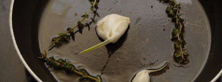 паштет из вяленых томатов и белой фасоли. Шаг 3