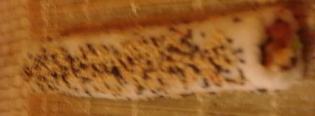 роллы ассорти. Шаг 15