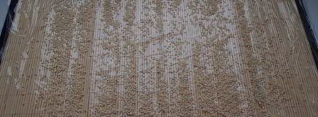 роллы из творога с фруктами. Шаг 3